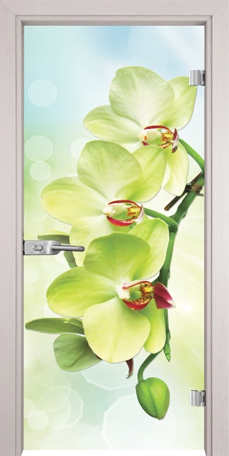 Стъклена врата Gama Print G 13-3 Green, Перла