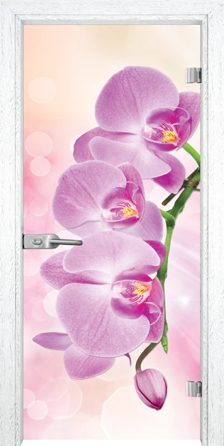 Стъклена врата Gama Print G 13-3 Pink, Бреза